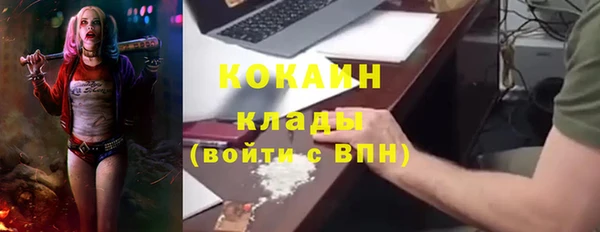 индика Белоозёрский
