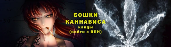 индика Белоозёрский