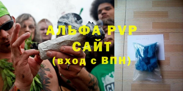 индика Белоозёрский