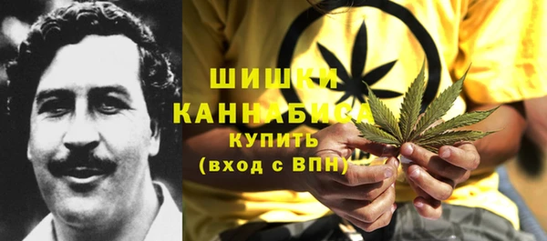 индика Белоозёрский